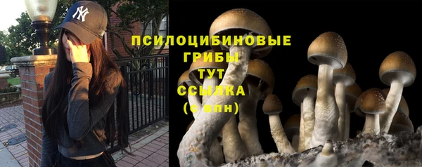 герыч Абаза