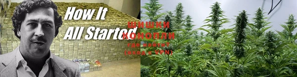 дмт Абинск
